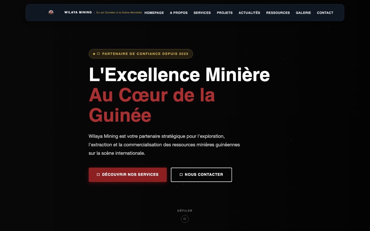 Aperçu du site Wilaya Mining